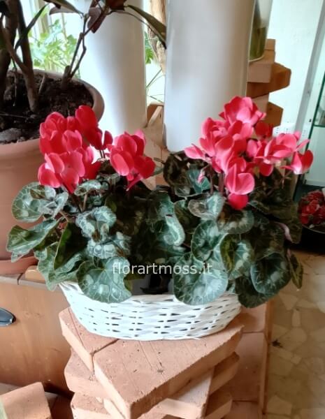 Cesto di fiori primaverili